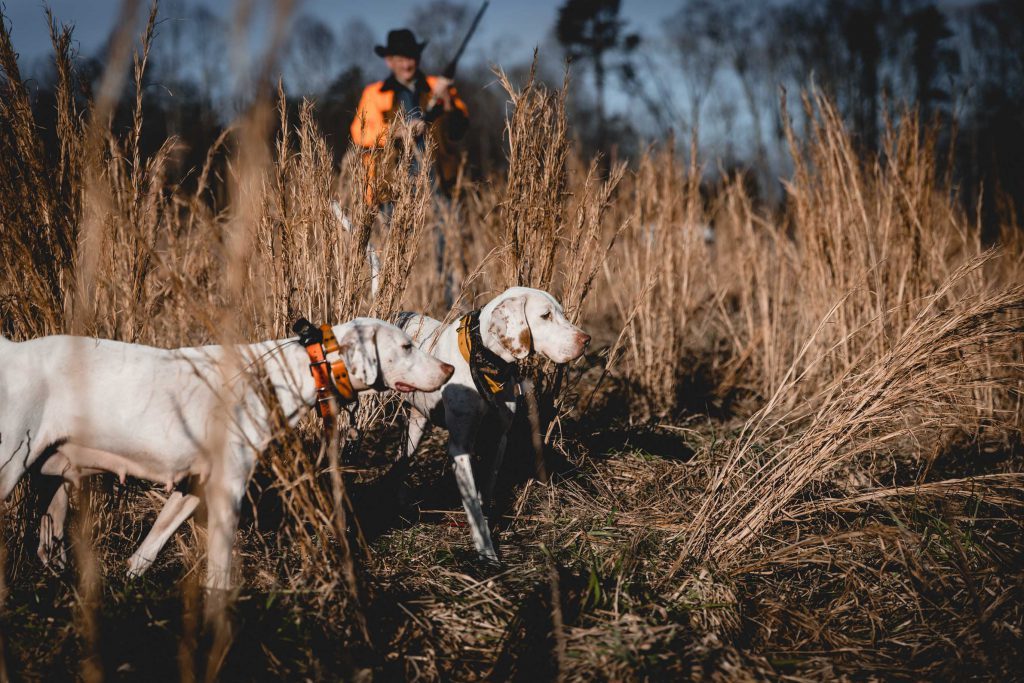 Etowah Valley Game Preserve is a perfect place for upland bird hunting in North Georgia